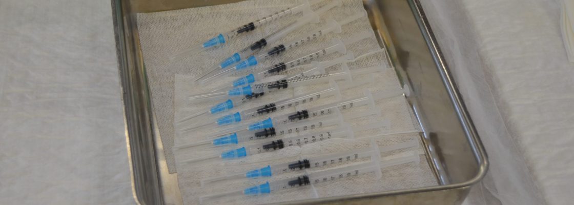 Vacinação contra a COVID-19 e gripe continua em Avis