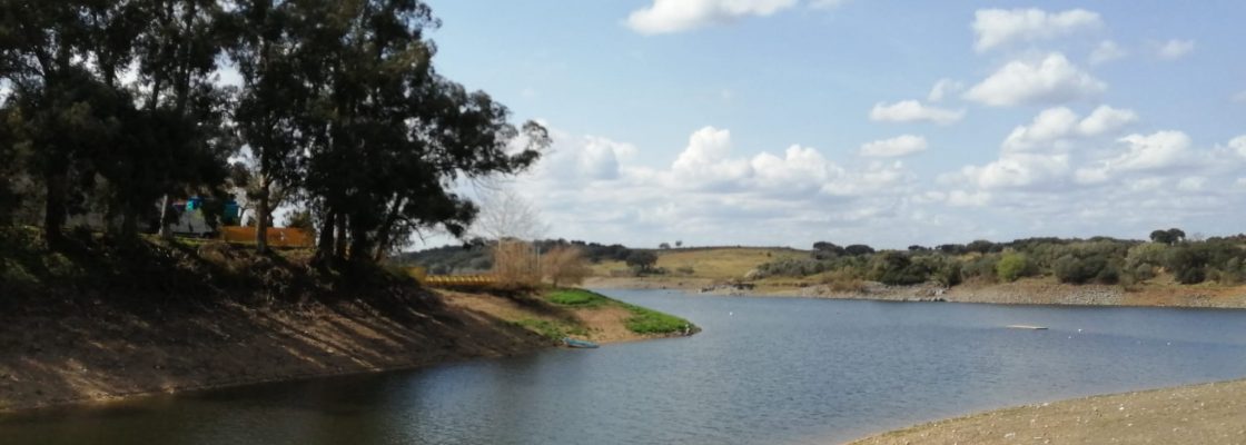 Dia Mundial da Floresta e da Árvore e Dia Mundial da Água celebrados com Passeio Botânico de H...