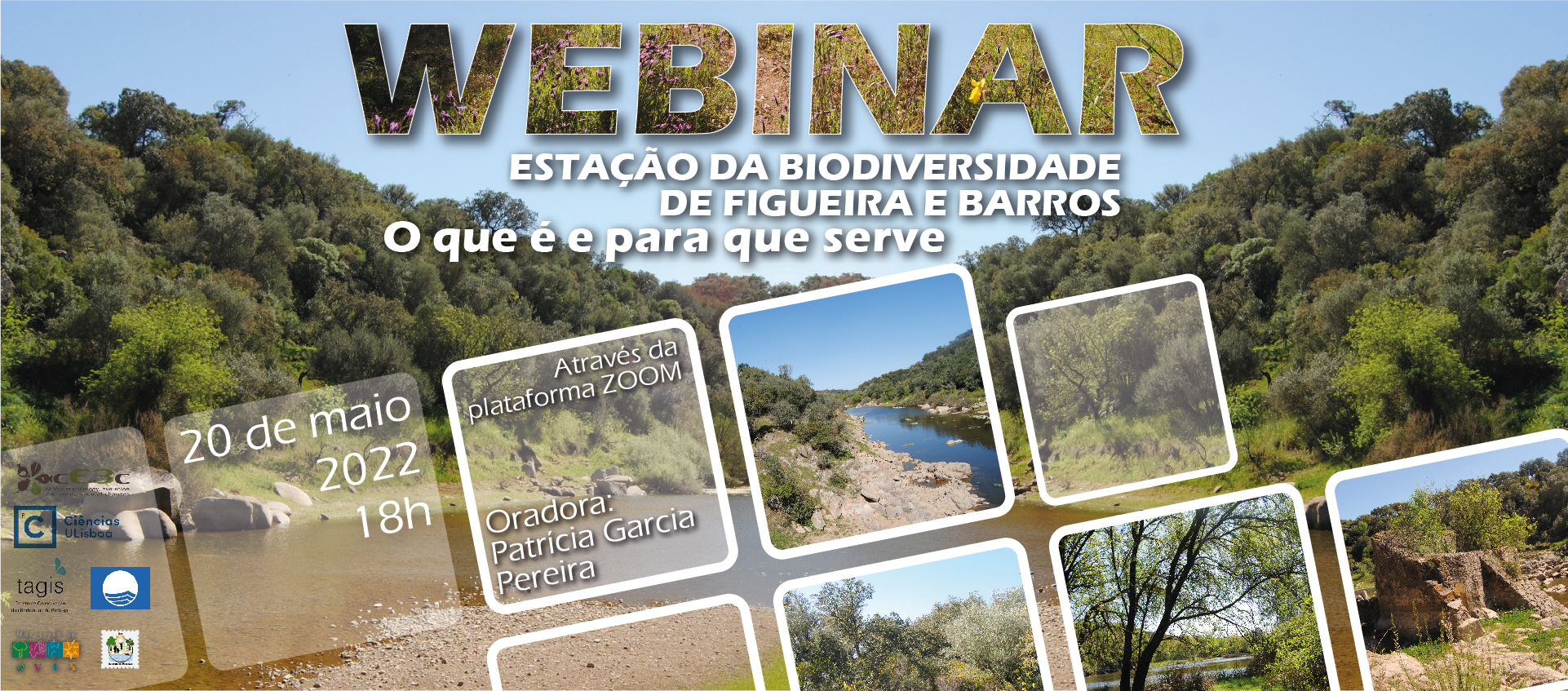 “Estação da biodiversidade de Figueira e Barros: o que é e para que serve” é tema de webinar