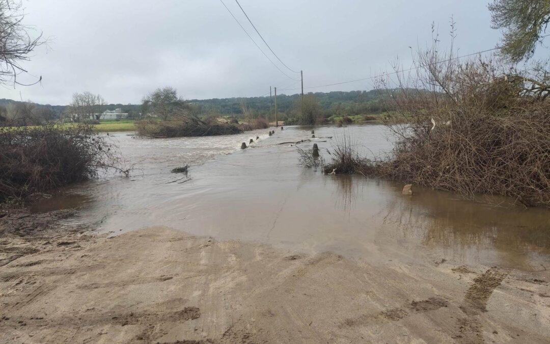 Ponte da Ordem e Ponte de Camões interditas ao trânsito