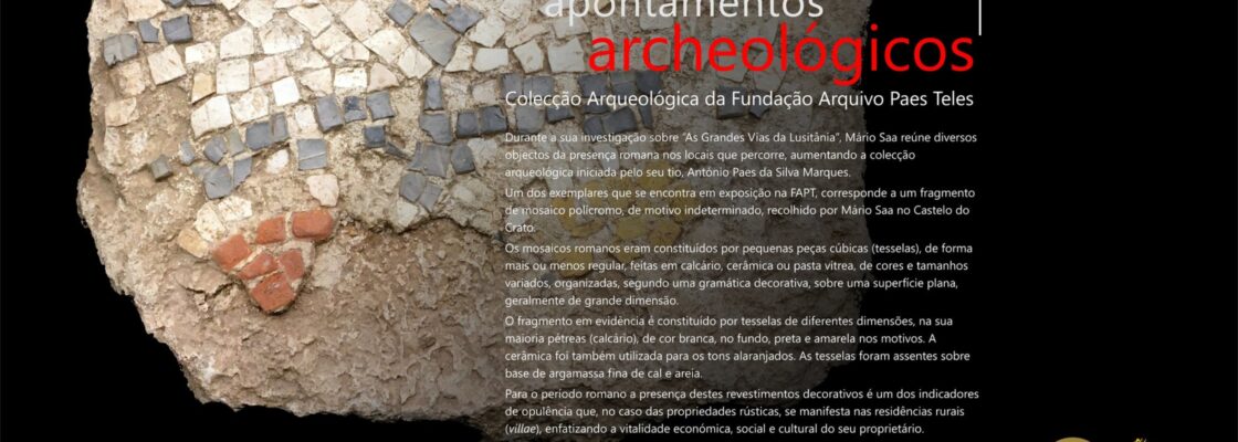 Apontamentos Archeológicos – Coleção de Arqueologia da Fundação Arquivo Paes Teles | V...