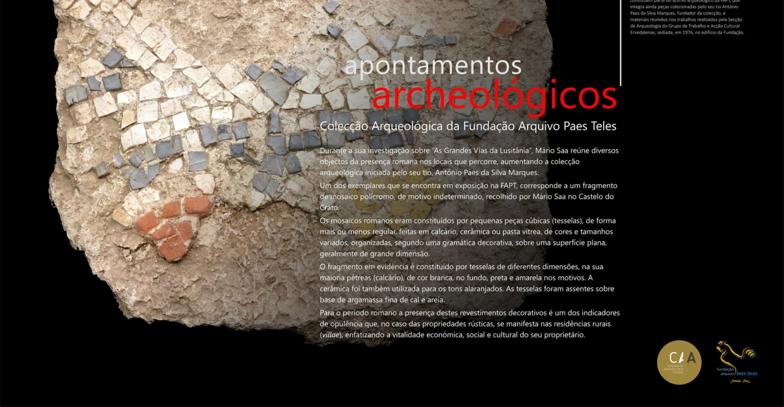 Apontamentos Archeológicos – Coleção de Arqueologia da Fundação Arquivo Paes Teles | V | Fragmento de Mosaico