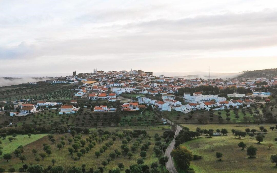 Aviso – Aplicação de produto fitofarmacêutico em Avis