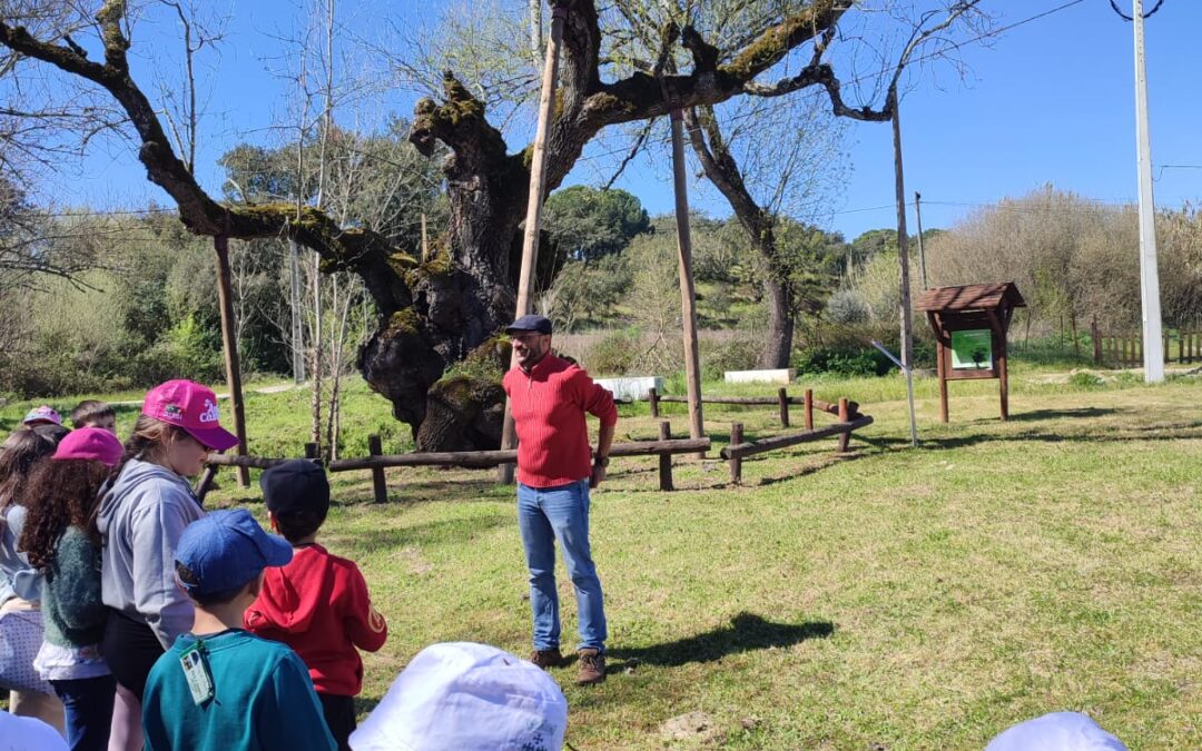Município de Avis promoveu visita de estudo às Árvores Classificadas de Interesse Público do Concelho