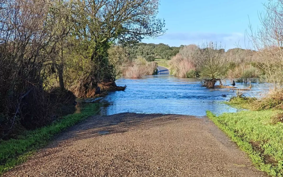 Aviso – Circulação interdita na Ponte de Camões e na Ponte da Ordem