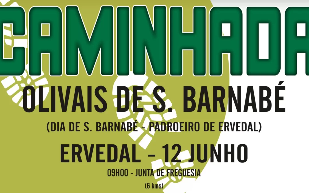 Caminhada “Olivais de S. Barnabé”