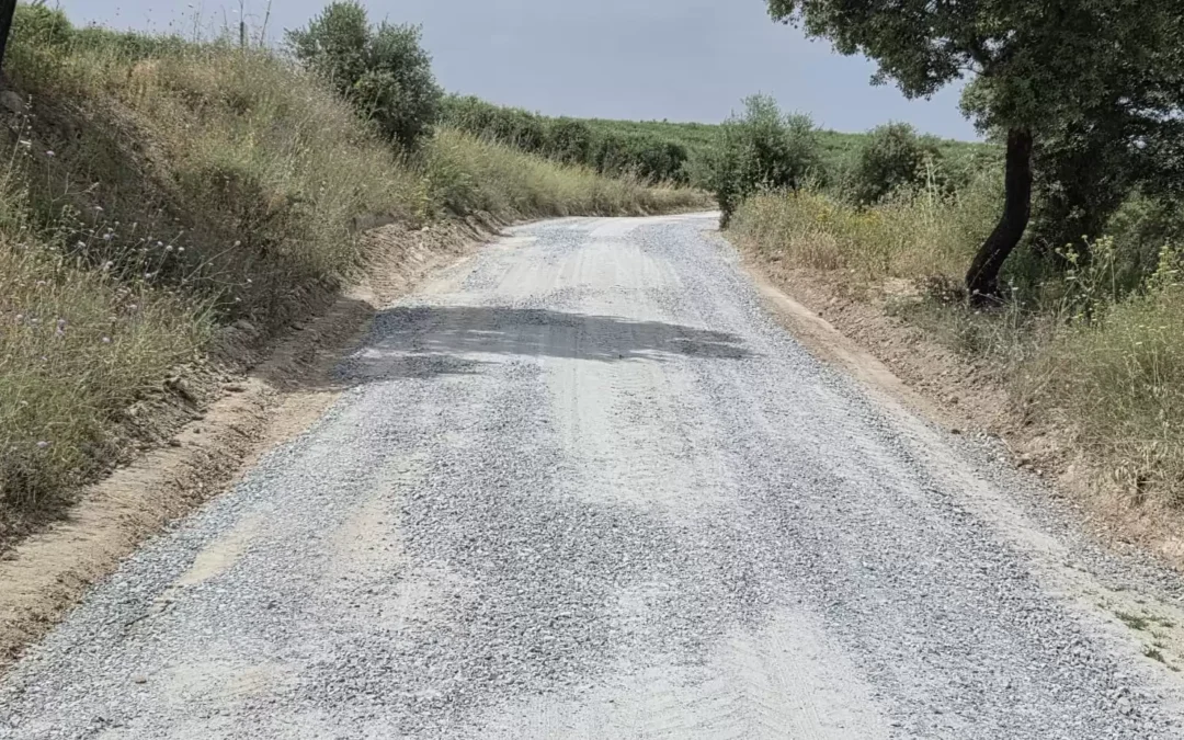 Município de Avis executa obras de conservação de caminhos municipais