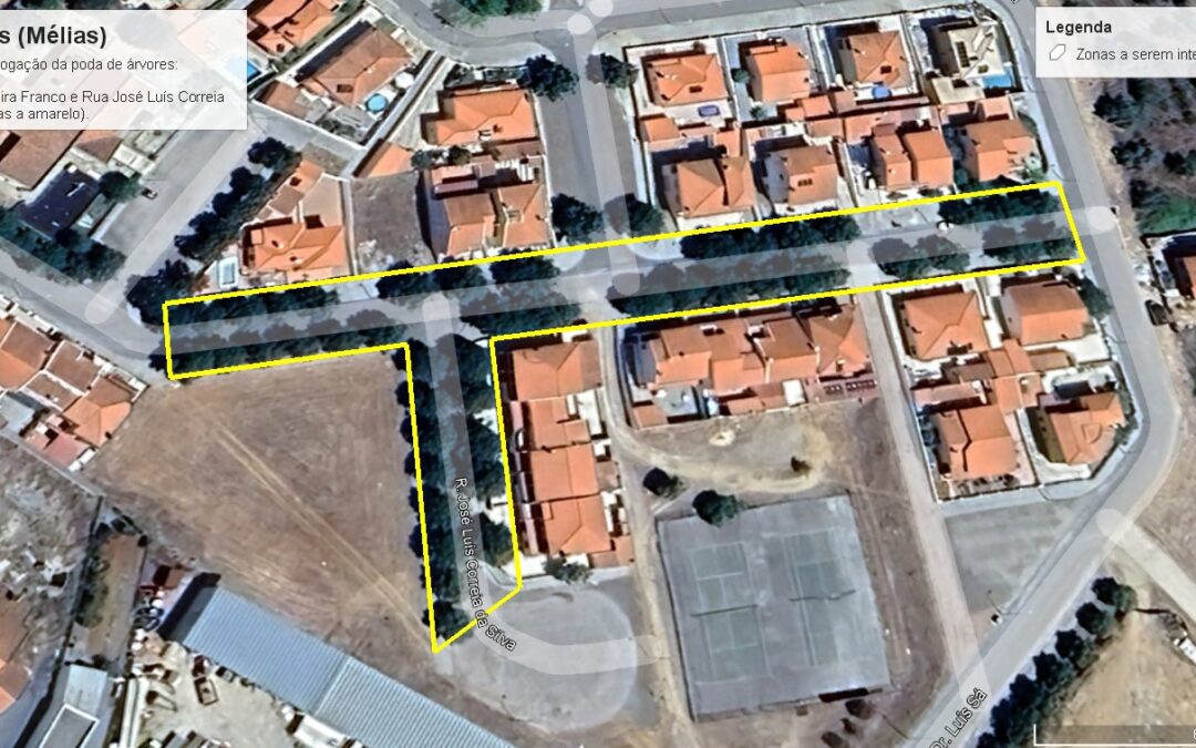 Aviso – Poda de árvores em Avis